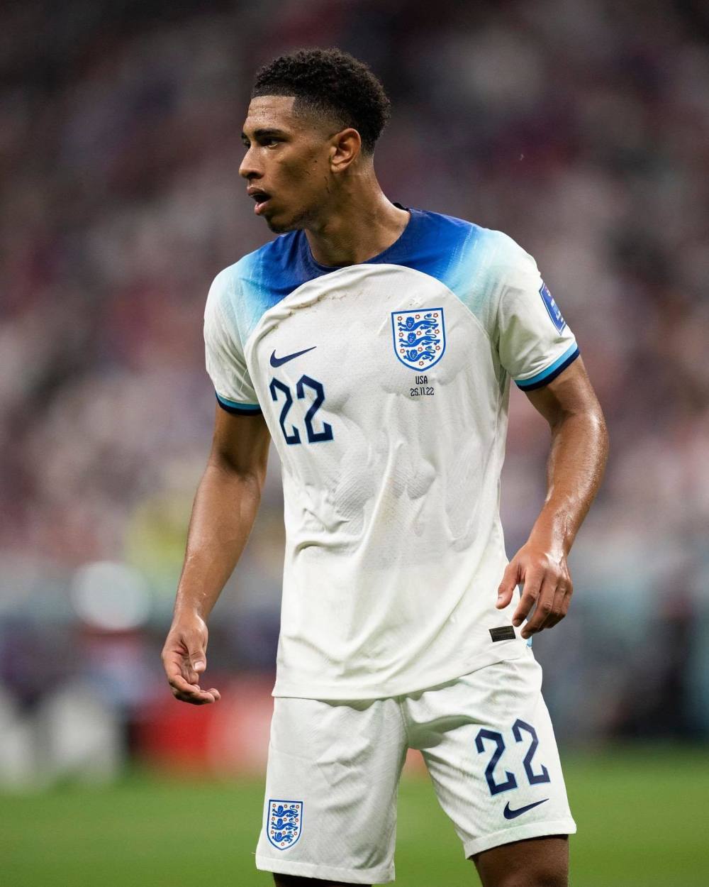 配当前LP 配当前LP