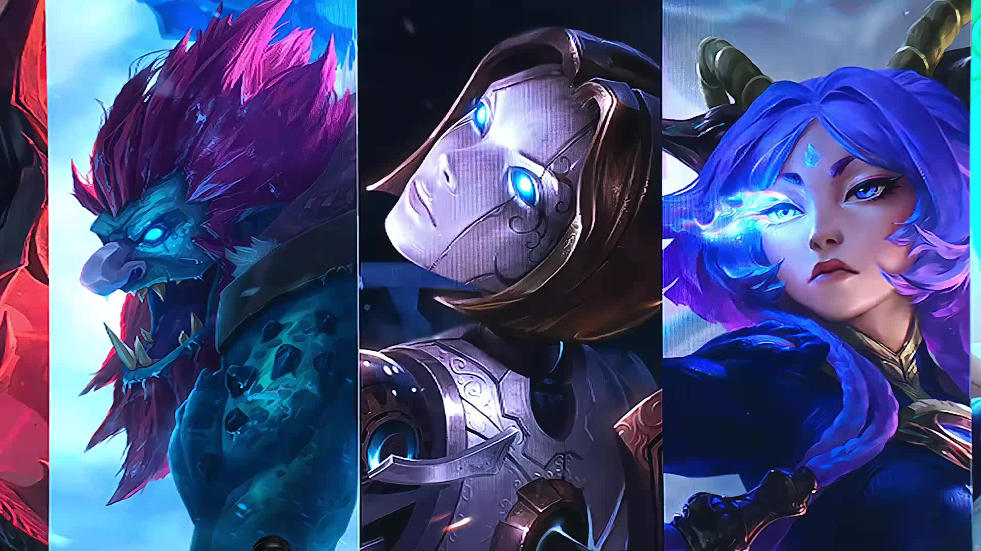 东契奇展示 东契奇展示